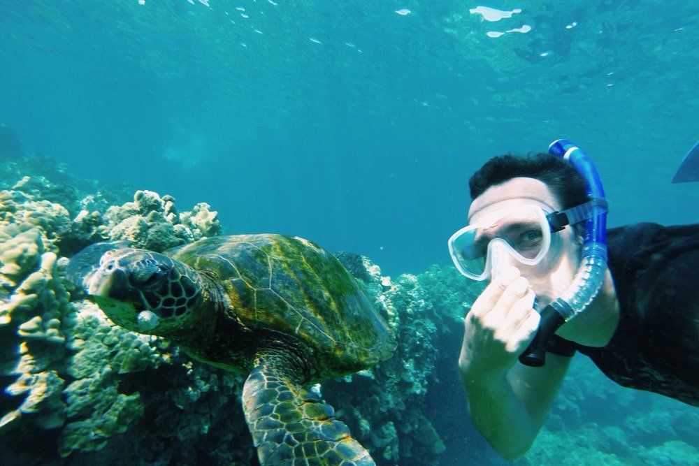 Eco-Snorkeling Tours-min