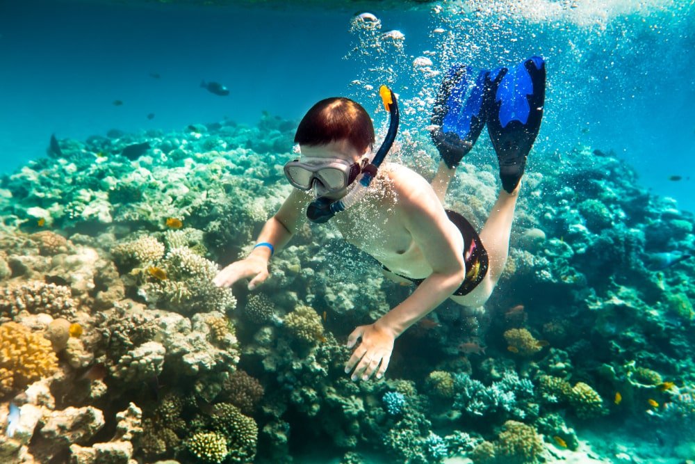 Private Snorkeling-min