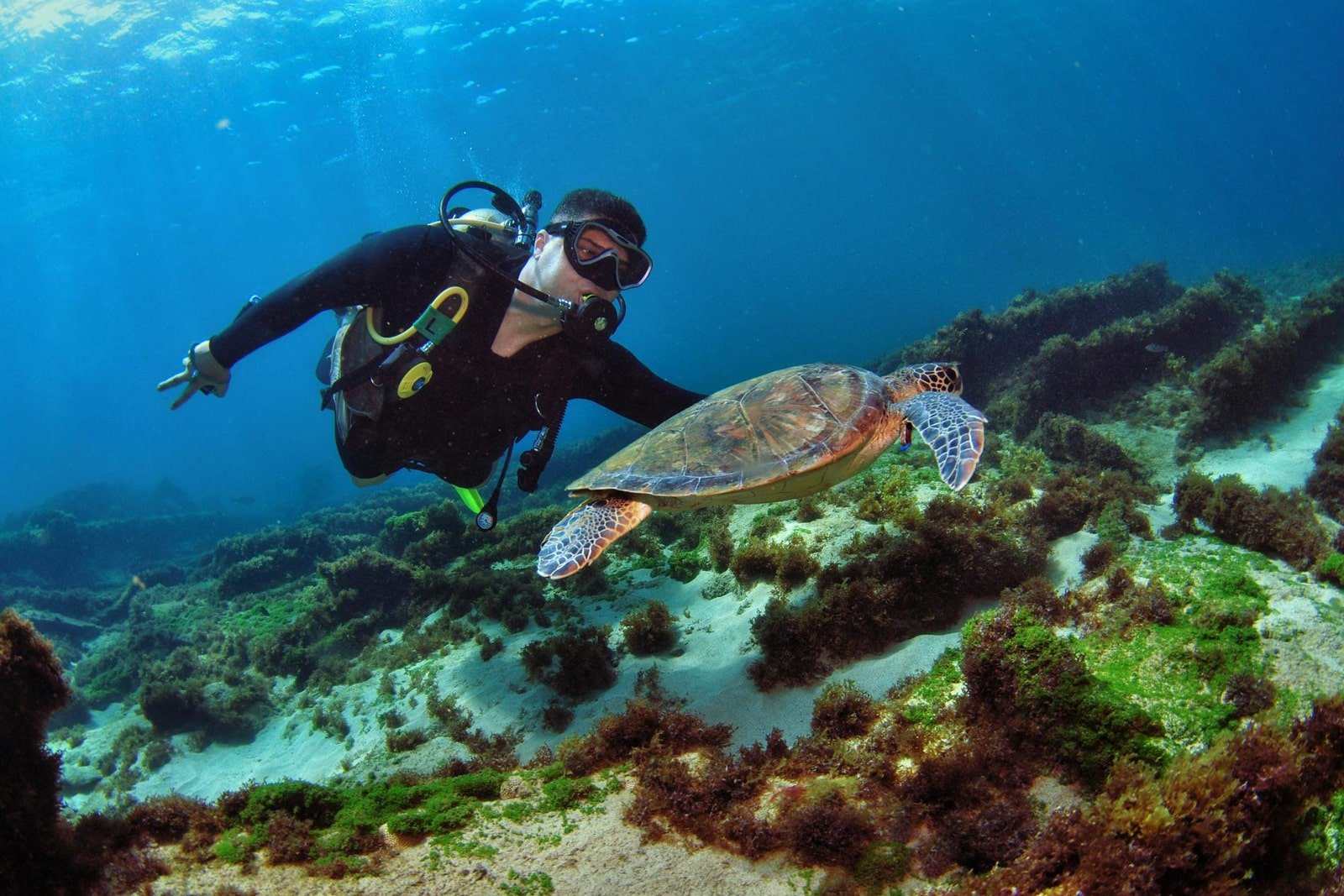 Snorking