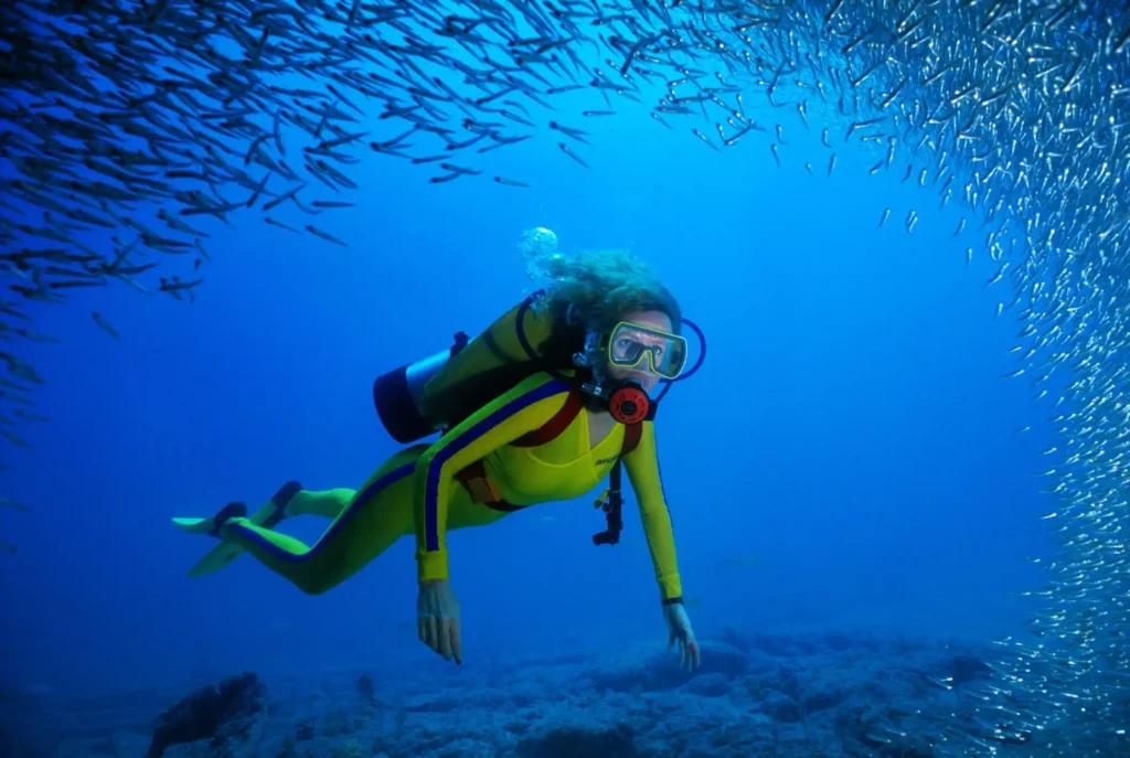 olorful coral reef and tropical fish while snorkeling in Oman